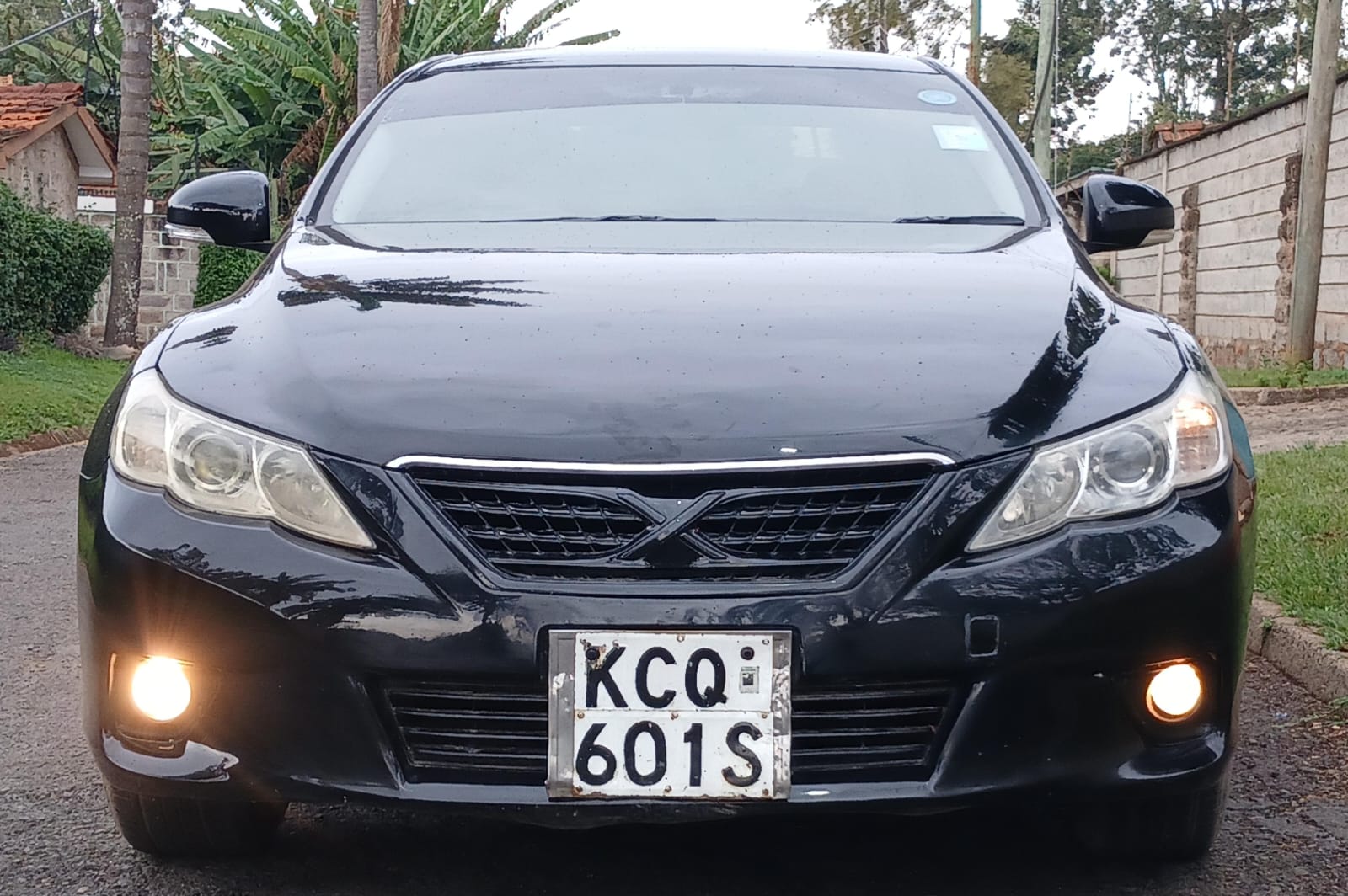 Toyota Mark X